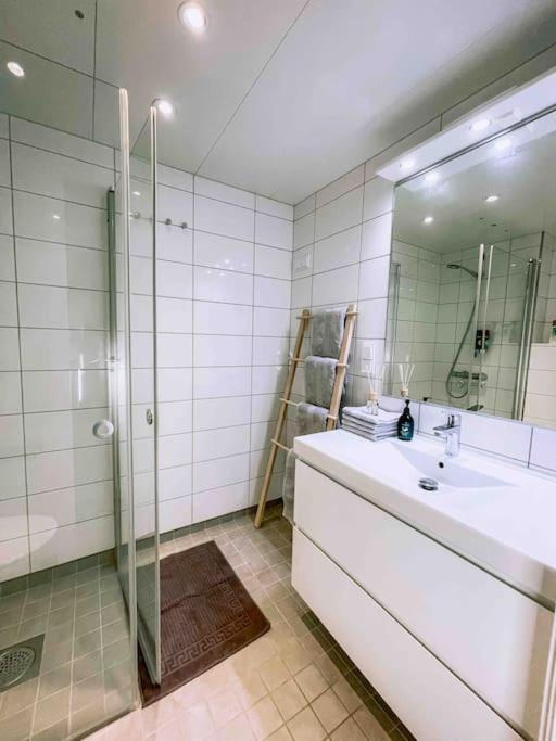 The Easy And Cosy In With Fast Wifi Apartment Oslo